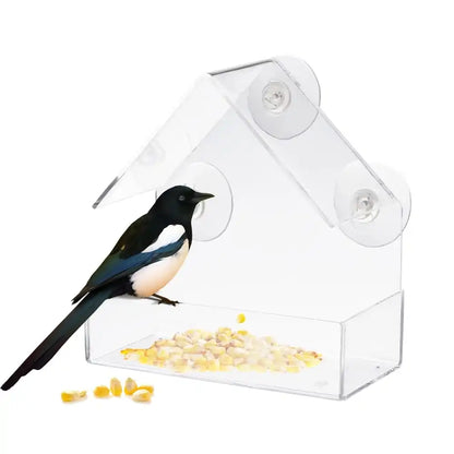 Suction Cup Bird Acrylic Feeder